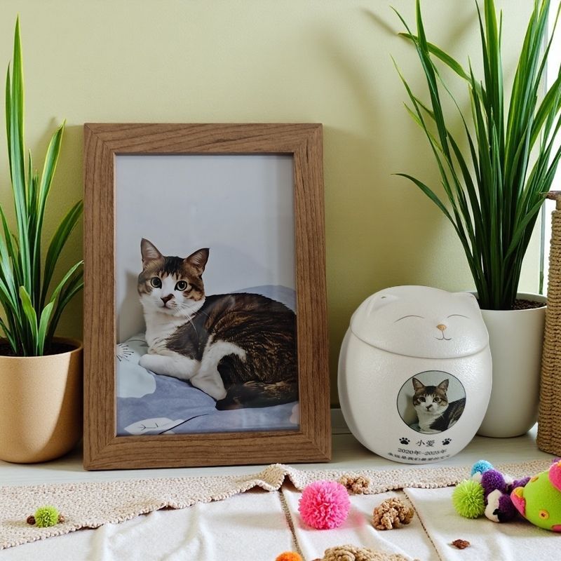 고양이/인쇄-소형 + 6inch 사진+액자