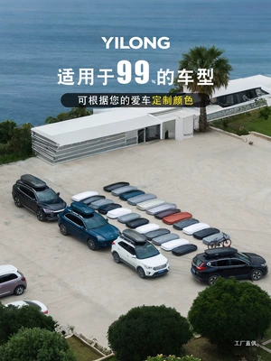 Universal Sunken Type 2025 — Roof box