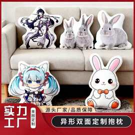 抱枕企业礼品logo图片宠物玩偶枕头毛绒异性抱枕