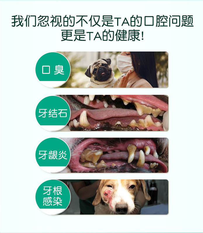 https://www.toonies.cn3.jpg_800x800.jpg