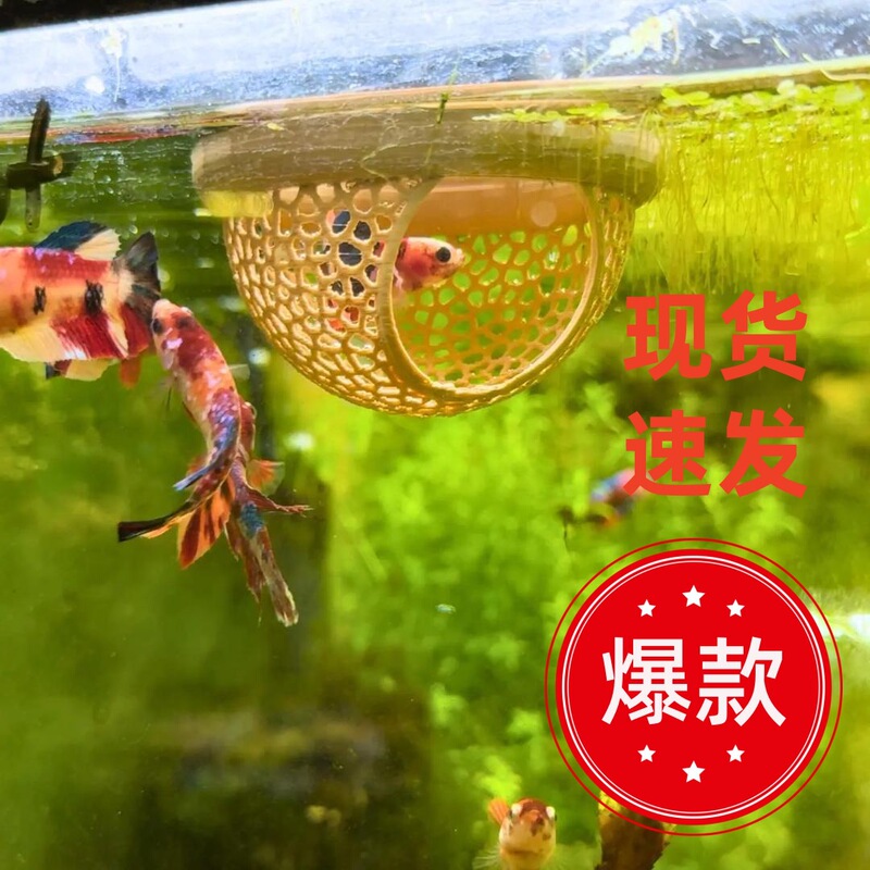 Independent Station New Fish Rest Area Fish Lounge Aquarium Accessories Floating Fish Lounge
