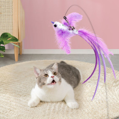 Simulation feather cat teaser pet self-entertainment boredom relief replaceable head extended rod kitten cat toys wholesale