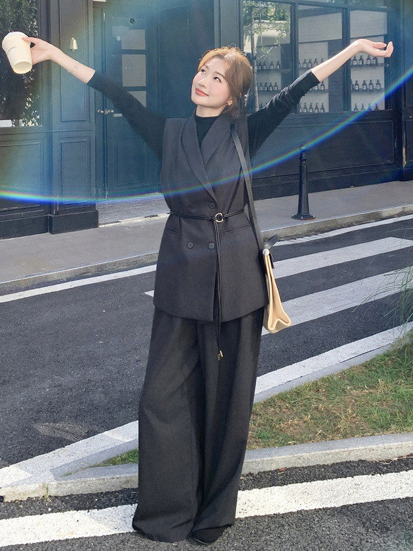 老钱风高级感西装马甲套装女秋季2025年新款通勤气质阔腿裤三件套|undefined