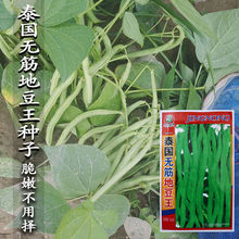 ̩oضǷNļ ̩oض ͥԺ̨