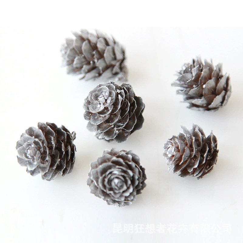 Dry Flower DIY Materials [Dry Fruit] Madman Sommelier Candle Plant Simagon Handmade Class Dry Flower Dry Branches Material