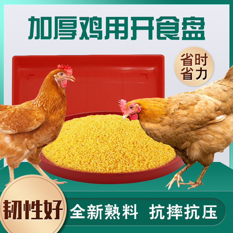 Plato de alimentación de pollo, plato de alimentación de pollo, plato de alimentación de pollo, plato de alimentación de pollo, plato de alimentación grueso