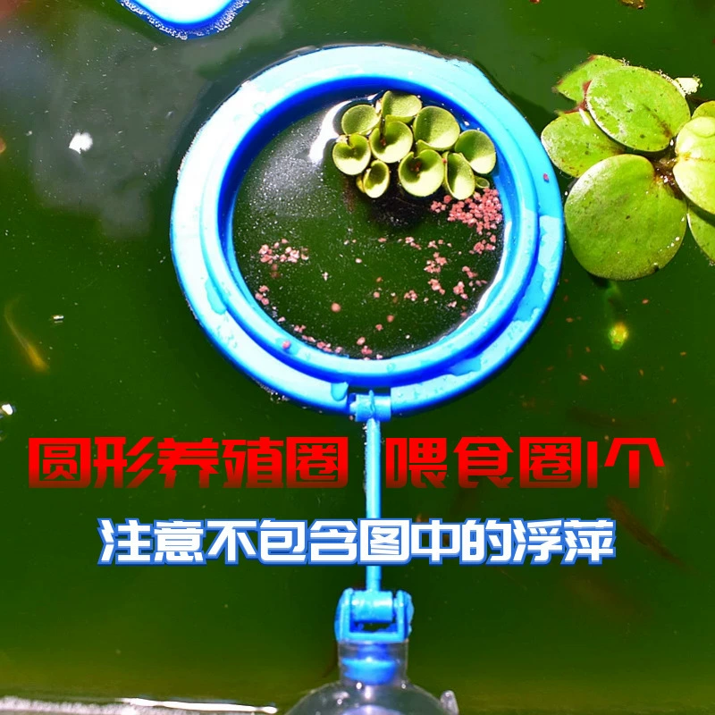 О ornamental аквариумные креветки набор, смешанные цвета и разновидности, набор нано-креветок, поедают водоросли