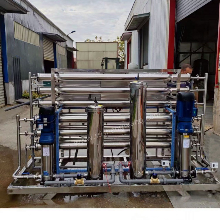 反渗透纯净水设备 胜王水处理 一体化去离子过滤双级制取