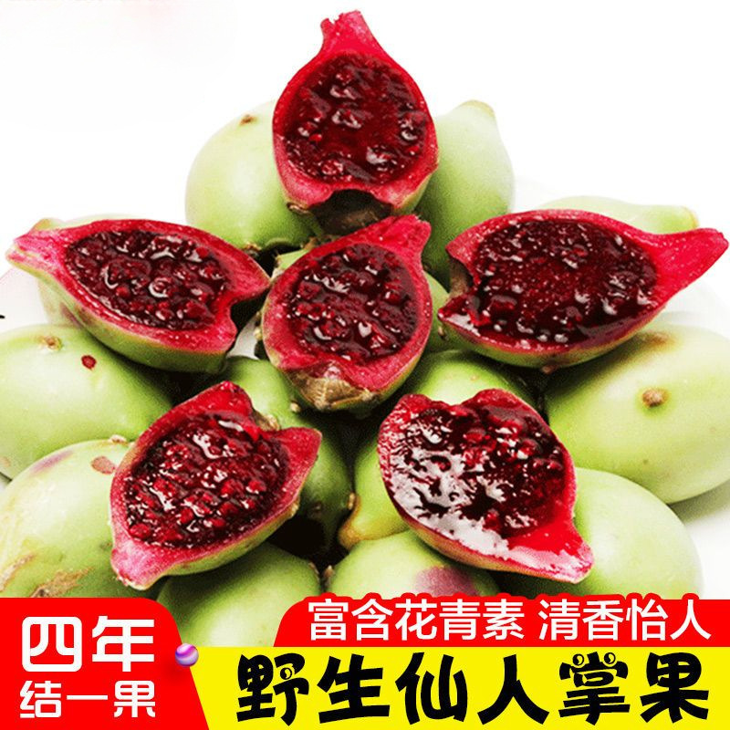 海南三亚新鲜红心野生仙人掌果实仙桃应当季热带稀奇古怪饮品水果