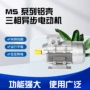 高效三相异步节能电动机