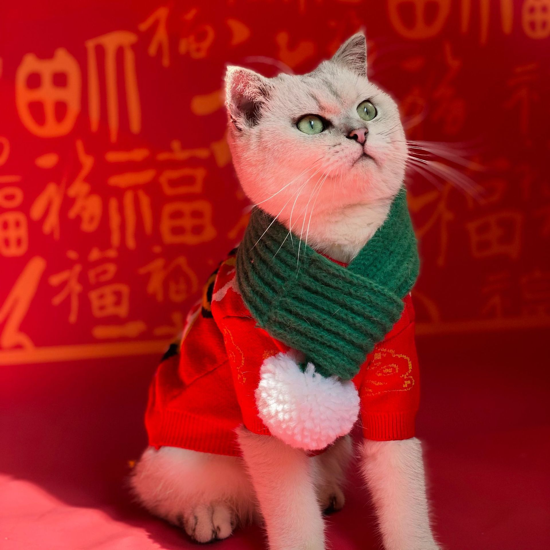 Gato collar bufanda perro bufanda Navidad saliva Toalla de punto lana tejida a mano cuello joyería transfronteriza