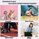 Amazon Home Infrared Light Wearable Portable Red Light therapy warp pad