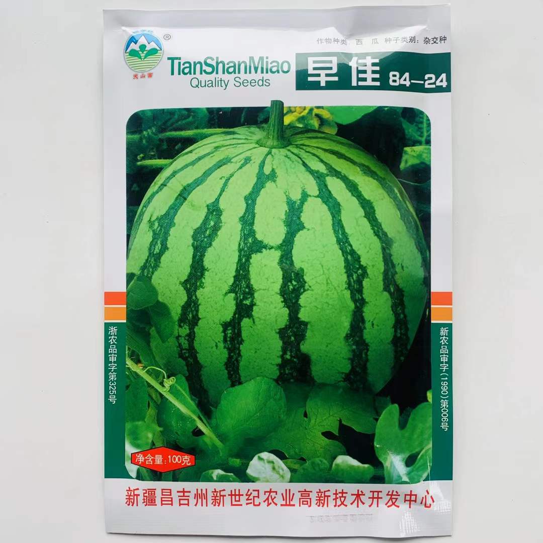 批发中科茂华水果种子金美都西瓜种早佳8424麒麟瓜薄皮美都西瓜種-阿里巴巴