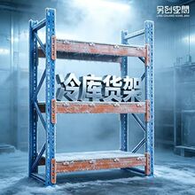 工厂直供冷库货架耐低温仓储货架冷链仓库专用防潮防腐蚀货架定制