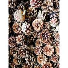 100���ɹ��b��ֹ������ɹ������}�Q�ɹ��ɻ��Ĕz����diy����