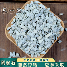 凡一堂阴起石 阴起石 阳起石自然晾晒 道地选材可无痕发货