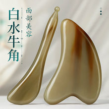 ţǓܽĘ沿Ęȥi粿ͨüӺ