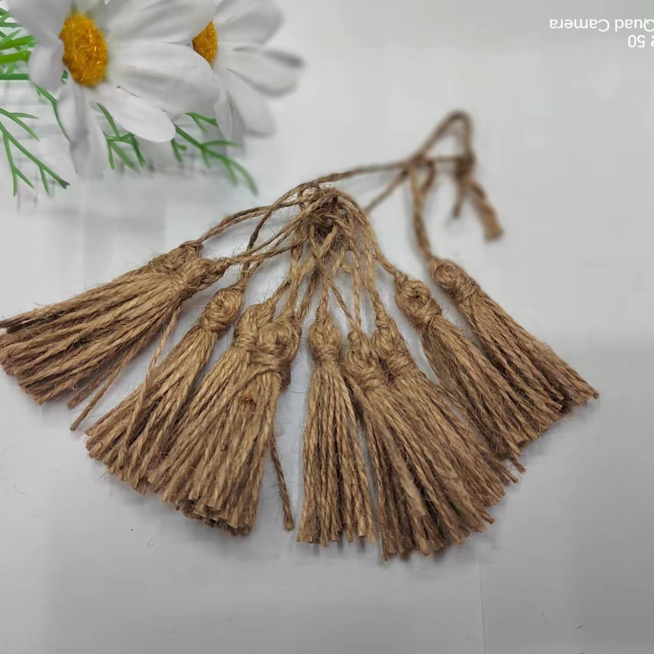 微信图片_20231012114543