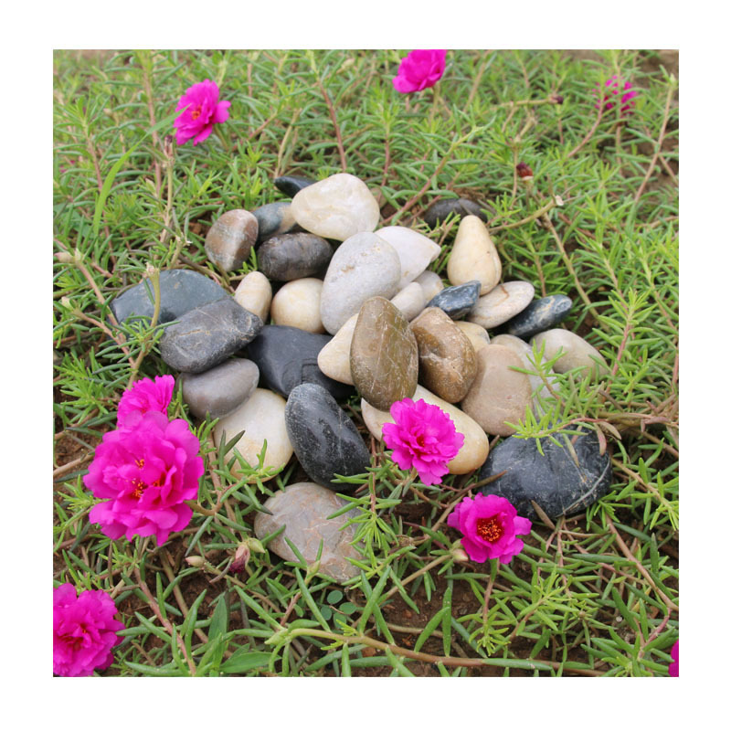 6-9mmɫˮĥʯƺר ƷǶԭϳֱ