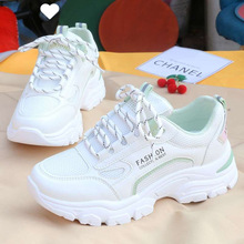 ϵЬŮ2025¿rаٴŮЬW͸e\Ь