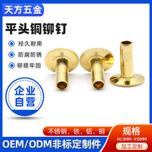 平头半空心铆钉 沉头铆钉 黄铜铆钉 厂家定制加工各种铜钉紧固件