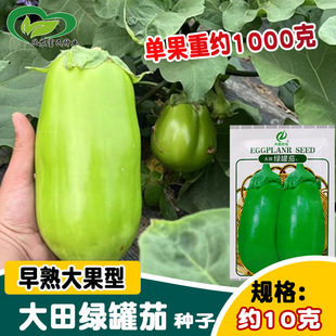 ����G���ѷN�� �ˈ@�r�ҽY����G���ӟ����� �̨�����߲���