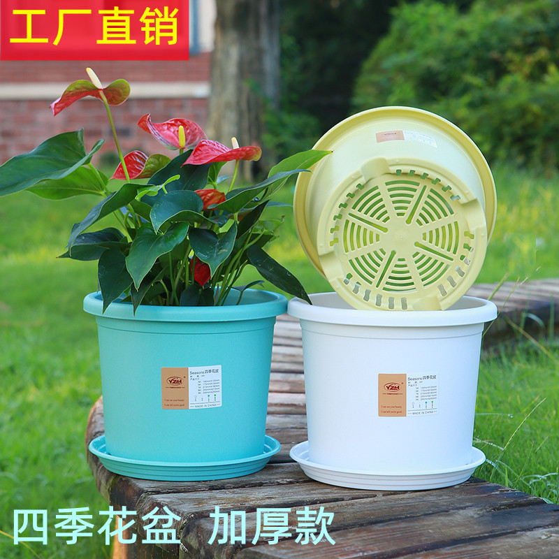 Maceta profunda con control de raíces para todo el año