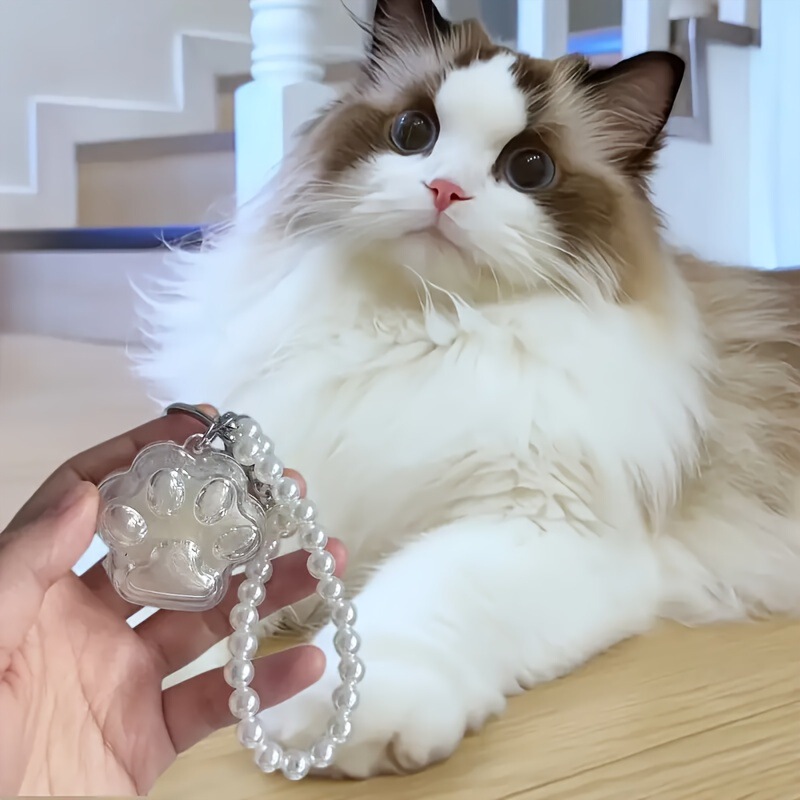 Pet Hair Storage Pendant and Commemorative Keychain Transparent Paw Print Storage Box Homemade DIY Key Ring