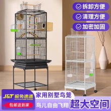 ���\���¿�߶��p���B�\���X�Ͻ�����˸��B�\��̖�B�\�W�^�B�\��