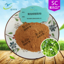 青钱柳提取物 青钱柳粉摇钱树提取物 青钱柳皂甙 现货包邮