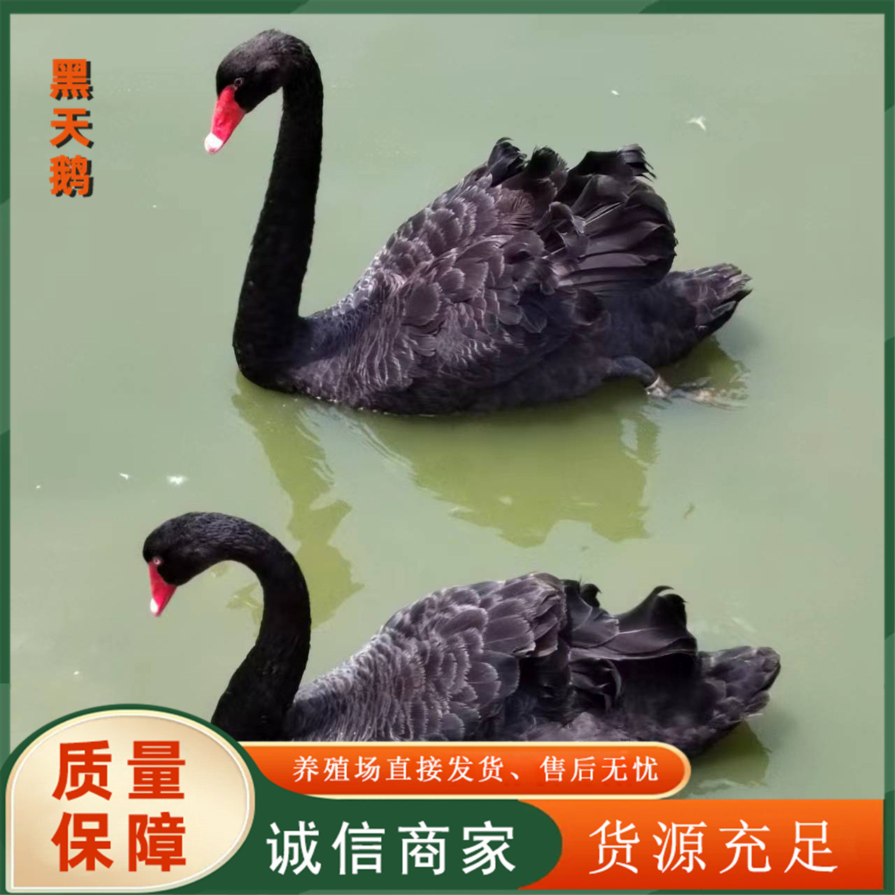 5ad59c82e21404c327e9d6be5728d4