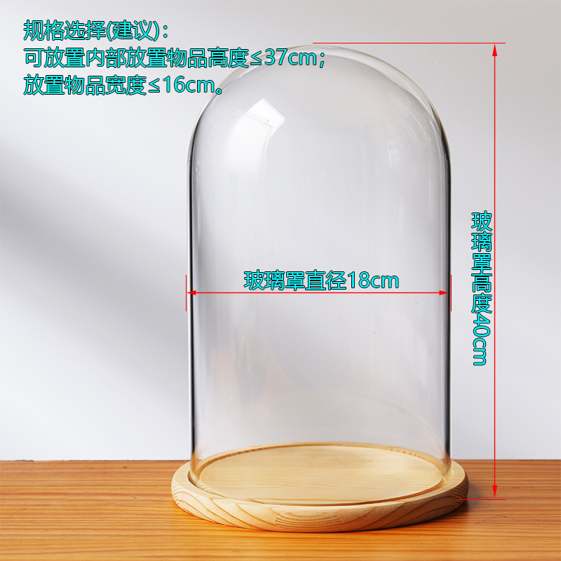 Cubierta cilíndrica de vidrio transparente sin lámpara de madera de estilo inmortal cubierta de polvo de flores hecha a mano decoración creativa de escritorio de bloques