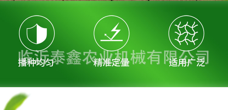 详情_02.jpg