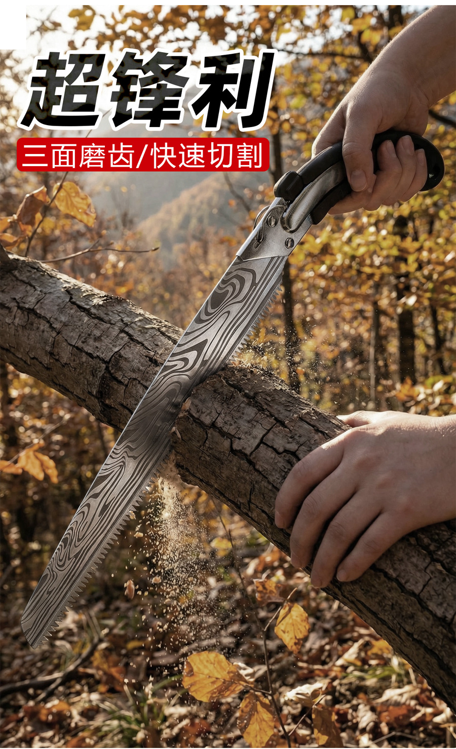 未标题-1_03.jpg
