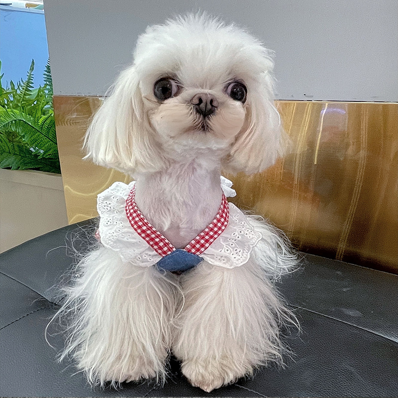 Original cross-border spring and summer pet chest back traction rope cat dog clothes to send adorable chicken strawberry bear cartoon doll