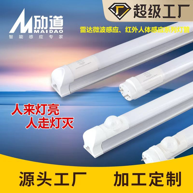 Induction LED physiological linear light