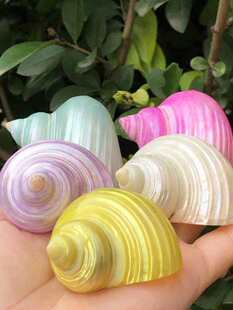 ����ؐ���ײ�ɫ�ɹ��ݼľ�з��Q����ؐ�~�C�~��ˮ���쾰�b�