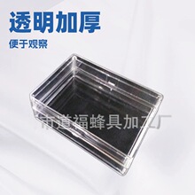 透明高清巢蜜盒全透明加厚型巢蜜盒透明加厚一斤巢蜜盒蜂具