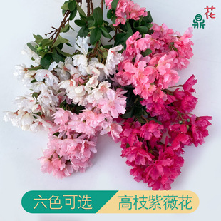 �¿��֦��ޱ���һ����潁�� �̈��������͘��bٻ� ���S���l