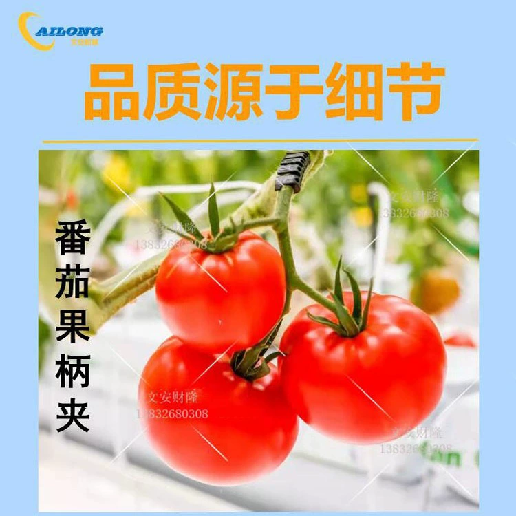 Зажим для ручки для томатных фруктов, зажим для виноградной лозы, фиксация лозы, пряжка для рассады, пряжка для томатов, зажим для висячей лозы для томатов