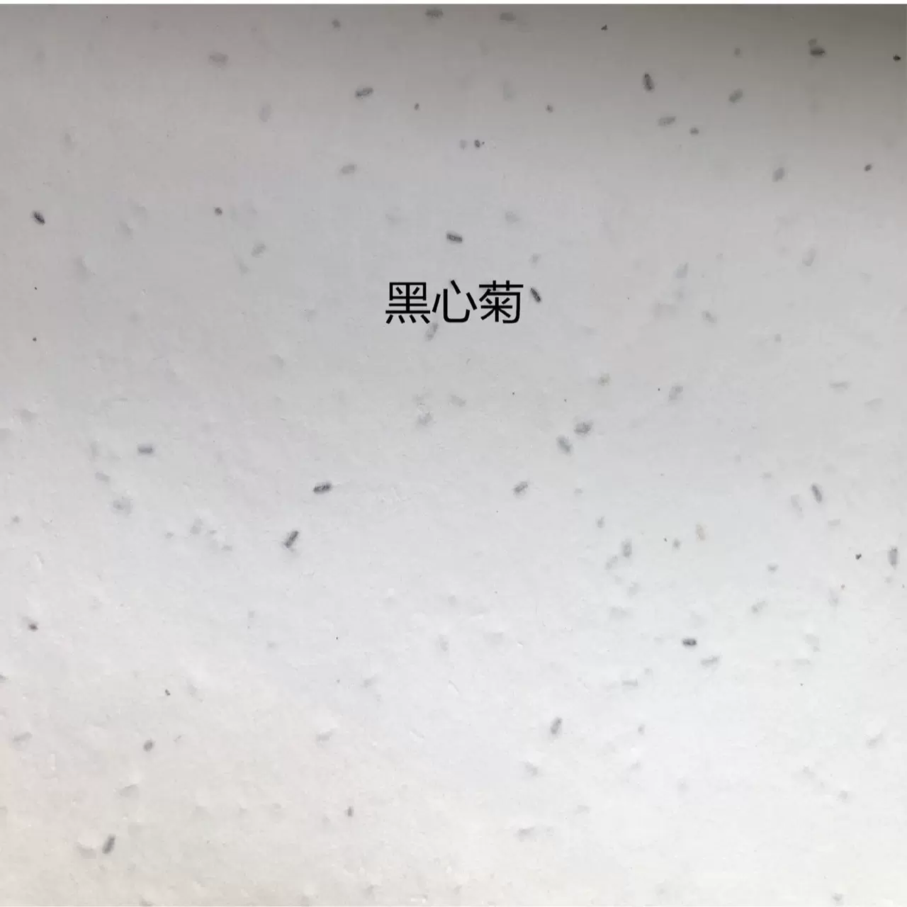 现货种子纸材料 纯手工环保种植纸特种纸 seed paper 发芽开花纸