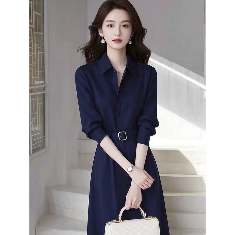 Spring French Style Celebrity Classy Goddess Style Accessible Luxury High-End Formal Occasion Blue Shirt Dress
