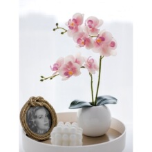 �R�껨ˇ�[���ָ�PU�����m�ٻ��b����ɻ��͏d�҃Ƚ���2026