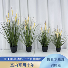 �羳����ֲ��С�������lˮϞ�T��β�Ͳ���β�ݷ��滨�ٻ������辰