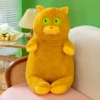 Yellow cat
