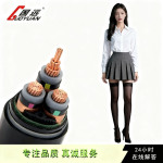 国标电线4芯YJV铜芯电缆4/6/10/16/25/35平方低压电缆线认证阻燃