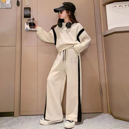 Girls, middle-aged and older ladies' casual suits  spring and autumn new style spliced sweatshirt wide-leg pants small fragrance two-piece set