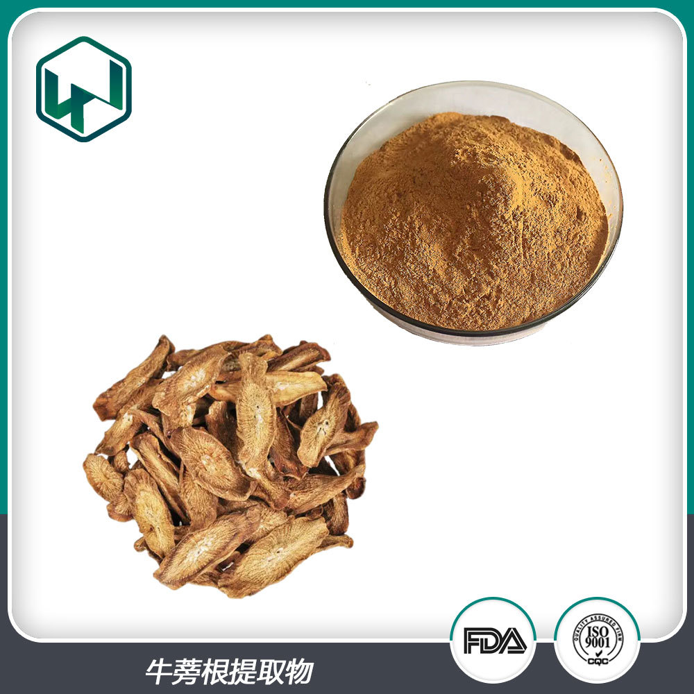 牛蒡根提取物 10:1%比例植物提取水溶原料粉 现货包邮量大从优
