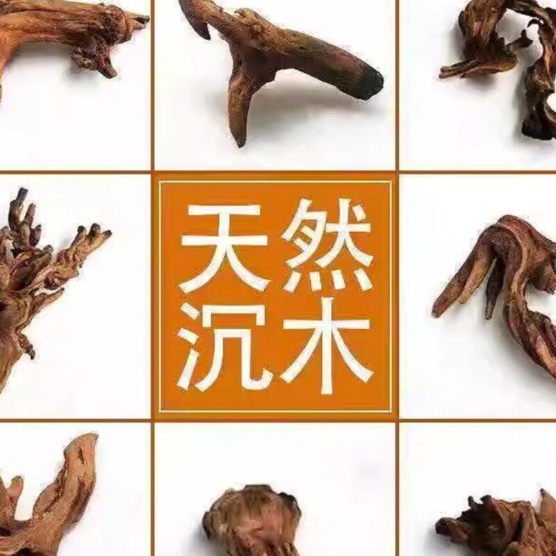 杜鹃根栖根紫柚木沉木鱼缸水草缸树枝树根造景沉木一木成景|undefined