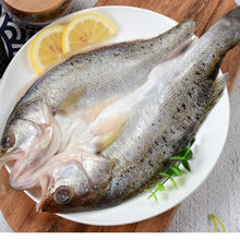 【三去開背海鱸魚】海魚鮮凍七星鱸魚烤魚生鮮海鮮水產活魚鮮制